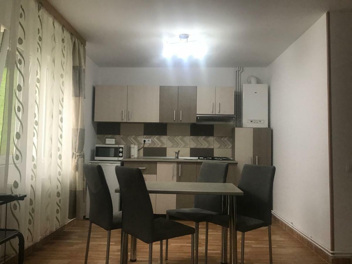 דירות בוסטאני Garsoniera Family מראה חיצוני תמונה